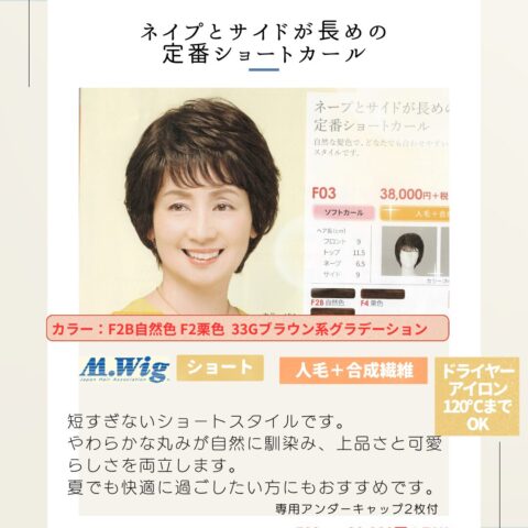wig-f01