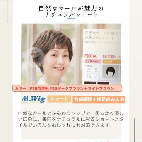 wig-f01