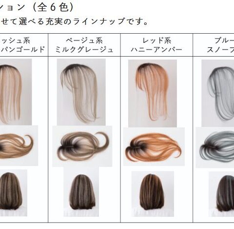 extension-wig01